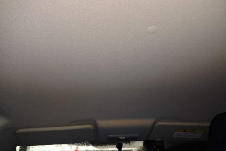 Used Oshan Benni E-Star 2021 National Edition Colorful Version Lithium Iron Phosphate (31.18 kWh)