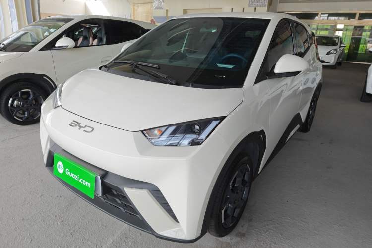 Used BYD Seagull 2025 305 km Free Version