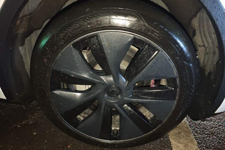 Used Tesla Model Y 2023 Rear-Wheel-Drive Version
