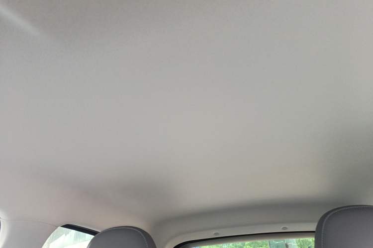 Used Leapmotor T03 2025 403 Comfort Edition Headliner