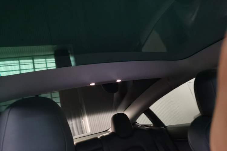 Used Tesla Model 3 2022 Rear-Wheel-Drive Version Headliner