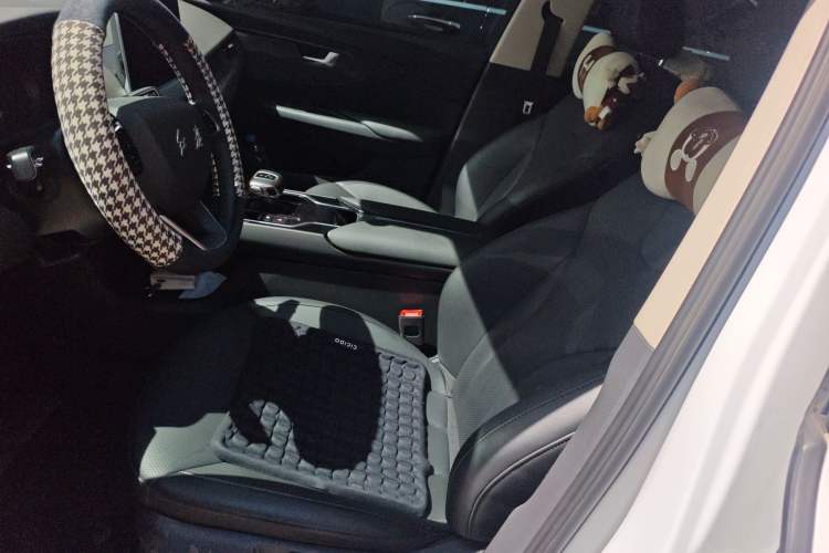 Used Hongqi E-QM5 2022 431 km Charge & Enjoy Edition Left Front Seat