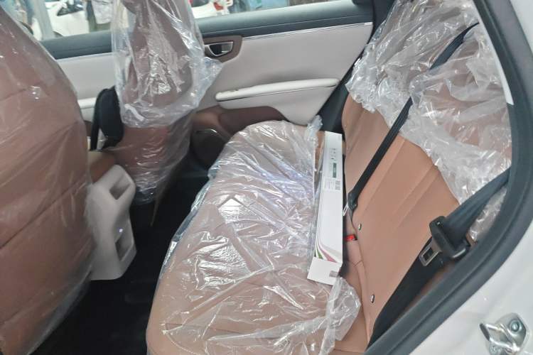 Used Wuling Bingo S 2025 Model 325km Deluxe Edition Left Rear Seat