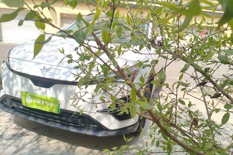 Used ARCFOX Alpha T5 2025 520 PRO