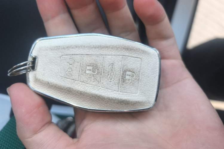 Used Geometry E Firefly 2023 320KM Cute & Handsome Tiger 5 Seats
