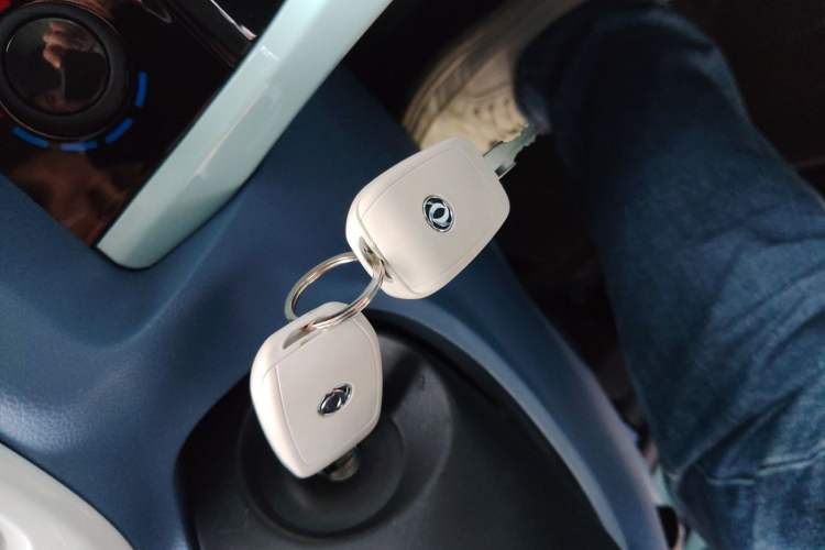 Used Dongfeng NAMMI EX1 2023 PRO Light Wind Edition Lightning Model Interior 1