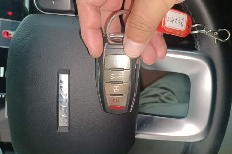 Used Haval DARGO 2021 1.5T DCT Two-Wheel Drive Border Collie Edition