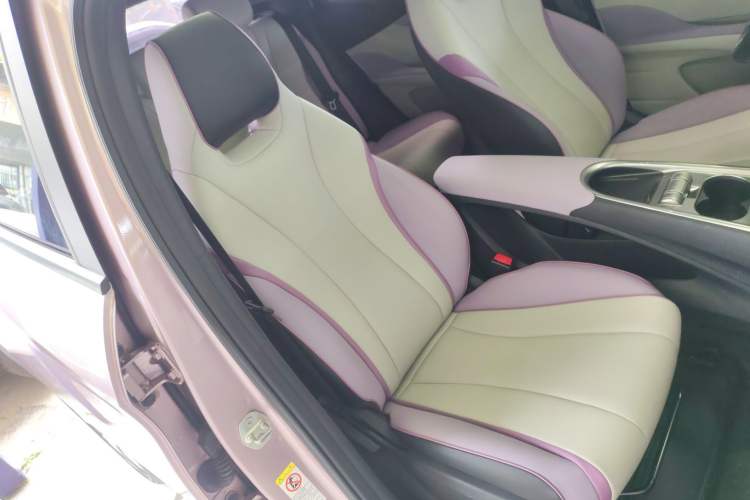 Used BYD Dolphin 2021 401km Knight Edition Right Front Seat