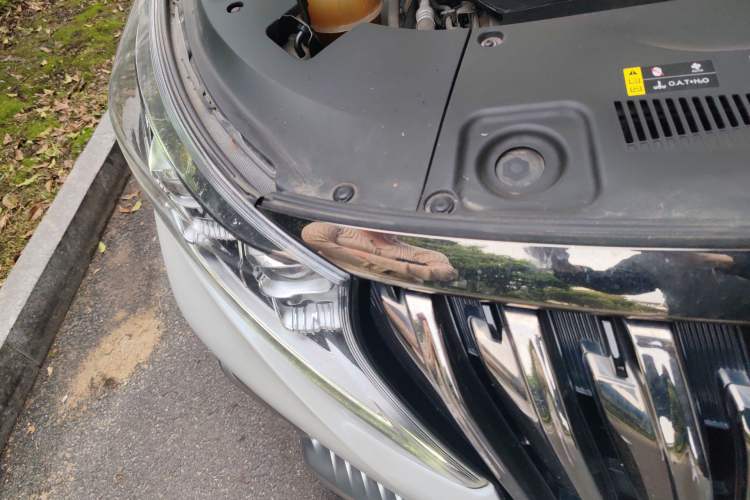 Used GAC Trumpchi M8 2021 Master Series 390T Ultimate Edition
