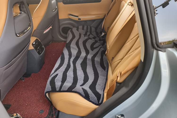 Used Leapmotor C01 2024 Pure Electric 525 Luxury Edition Left Rear Seat