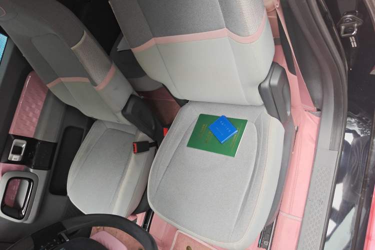 Used Baojun E300 2020 Star Travel Edition Left Front Seat