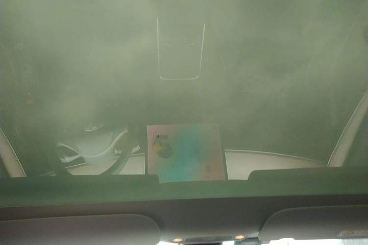 Used Tesla Model 3 2022 Rear-Wheel-Drive Version Headliner