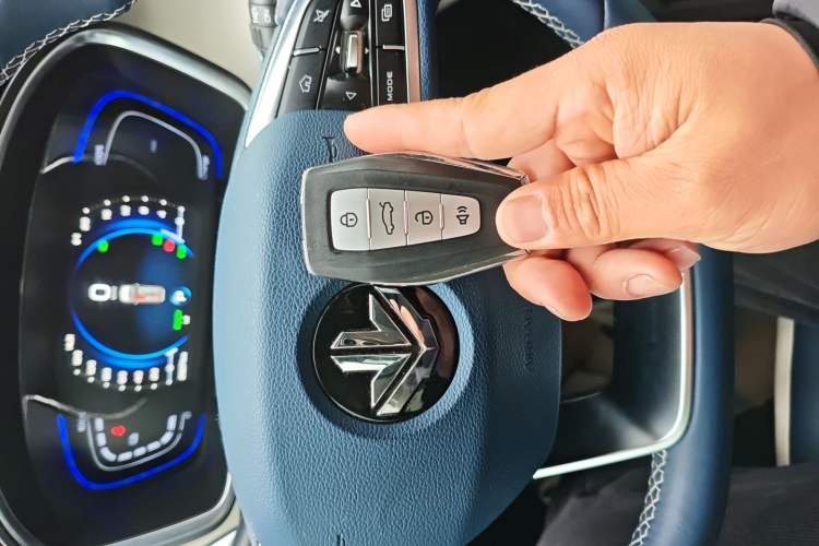 Used Livan Maple 80v PRO 2022 Comfort Edition Standard Range Version