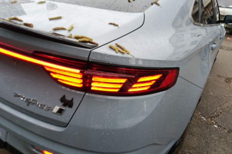 Used Geely Auto Preface 2023 2.0TD "Only This Verdant Green" Edition Exterior 3