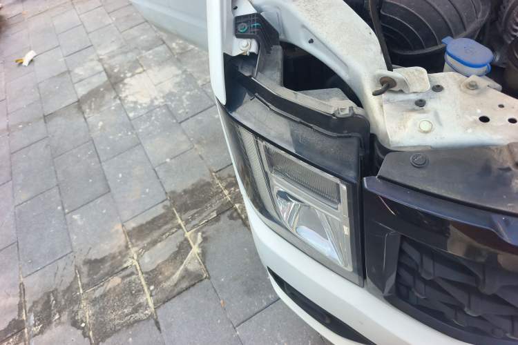 Used JMC Fushun 2022 2.0T Manual Multi-Function Passenger Vehicle Short Wheelbase Mid-Height Roof 6-Seater