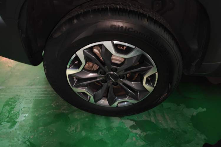 Used Haval DARGO 2024 2.0T DCT Chinese Rural Dog Edition
