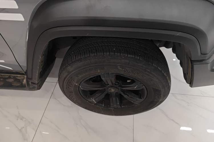 Used Tank 300 2024 2.0T Conqueror