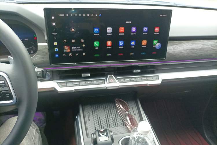 Used Tank 400 2025 2.0T Gasoline Version
