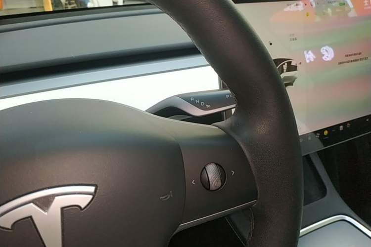 Used Tesla Model Y 2021 Standard Range Rear-Wheel Drive Version
