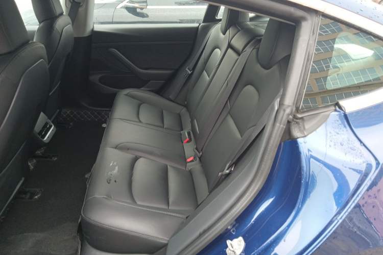 Used Tesla Model 3 2019 Standard Range Rear-Drive Upgraded Version Left Rear Seat