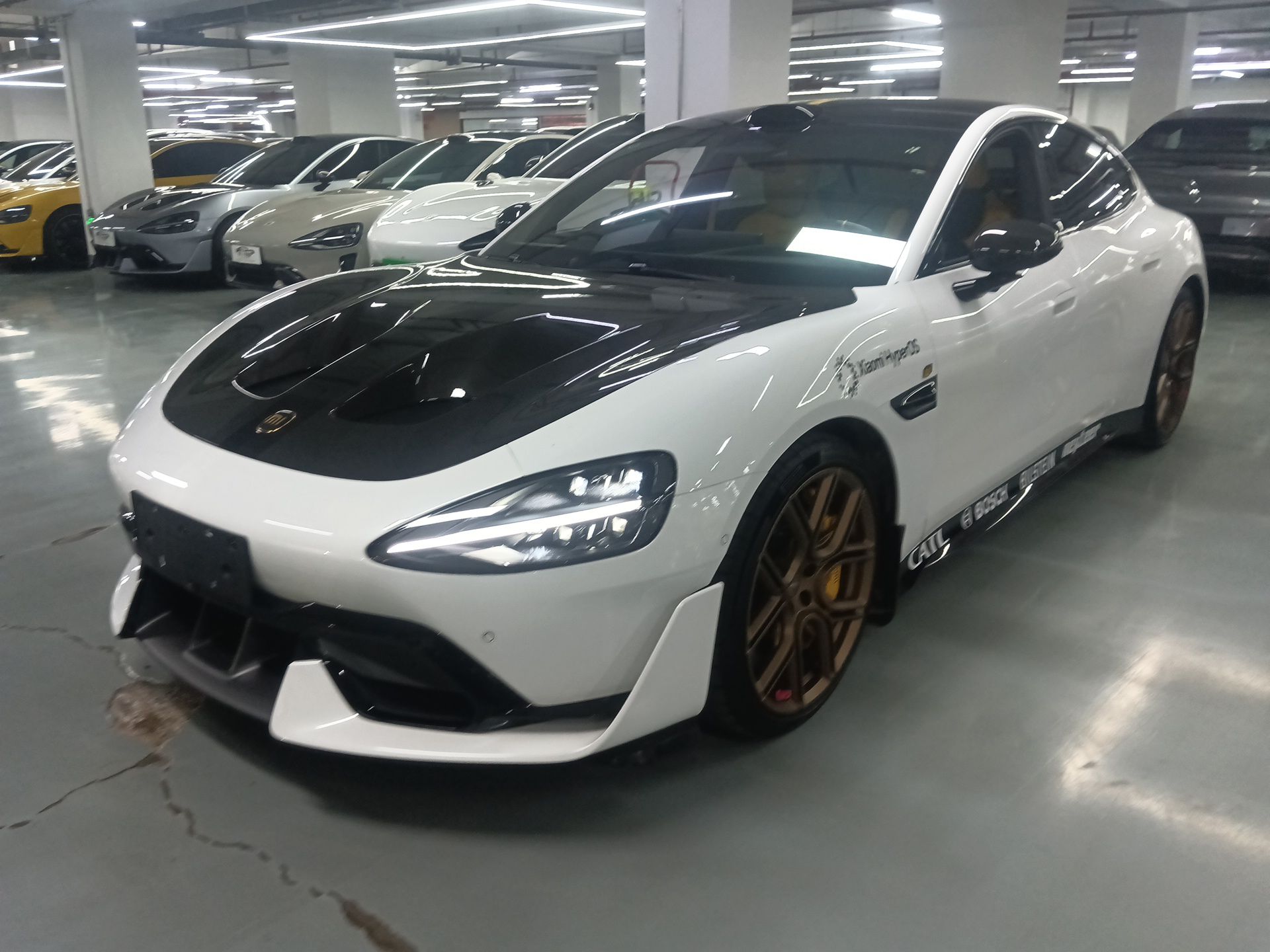 Parte inferior delantera