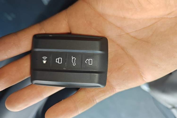 Used Tank 300 2023 City Edition 2.0T—Stylish as Ever