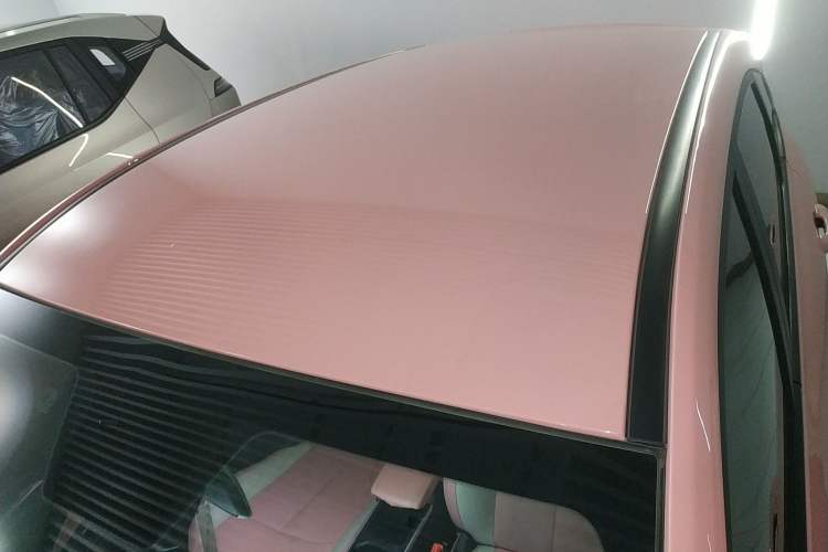 Used NETA V 2021 Witch Edition