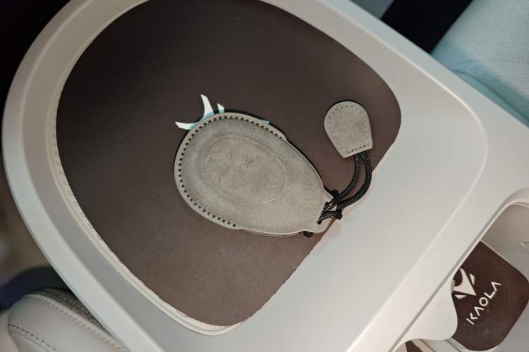 Used ARCFOX Kaola 2023 Family Edition Pro
