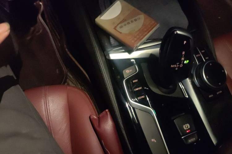 Used BMW 5 Series 2019 530Li Leading Model M Sport Package
