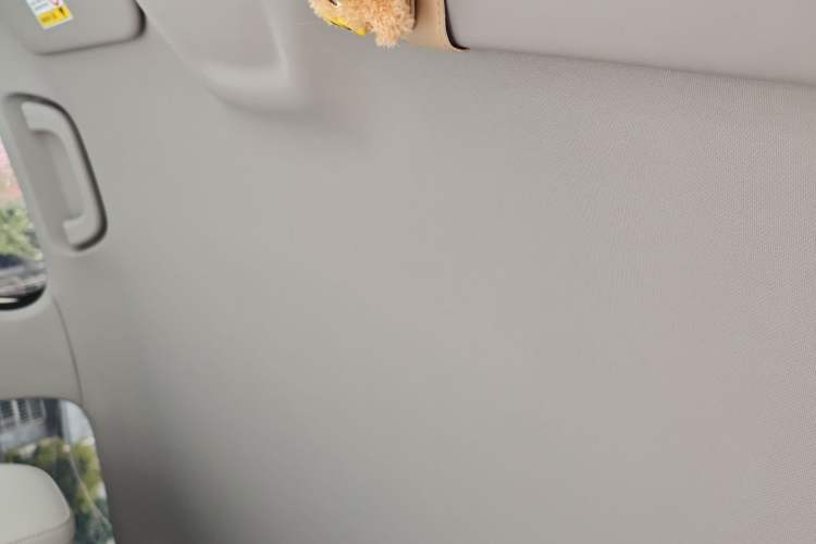 Used Geely Galaxy Geome 2025 310km Youth Edition Headliner