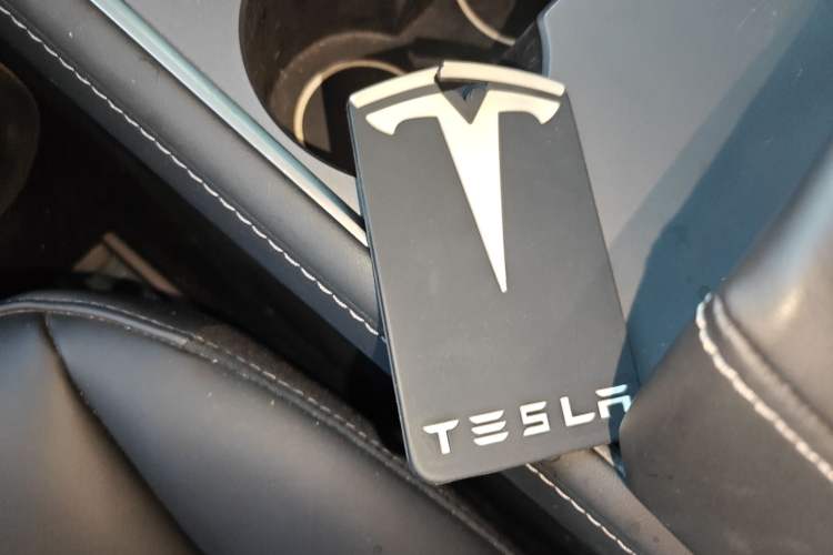 Used Tesla Model 3 2022 Rear-Wheel-Drive Version
