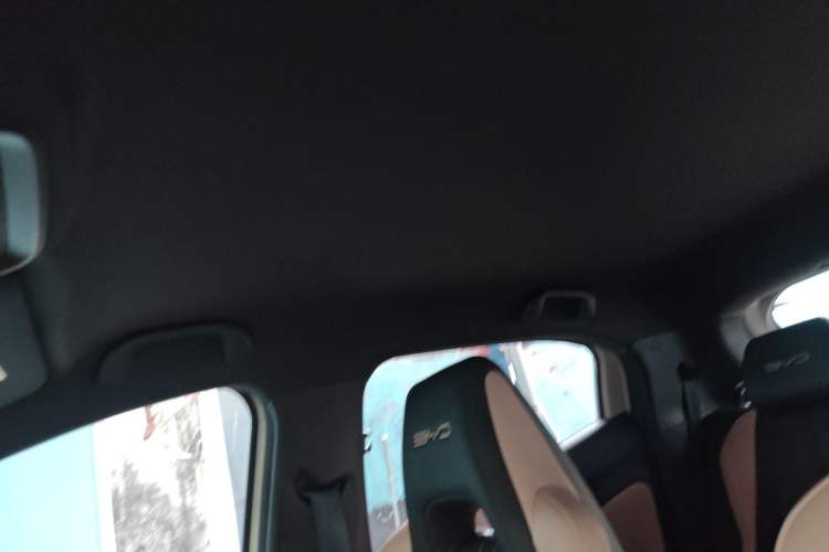 Used BYD Seagull 2023 Flying Edition Headliner