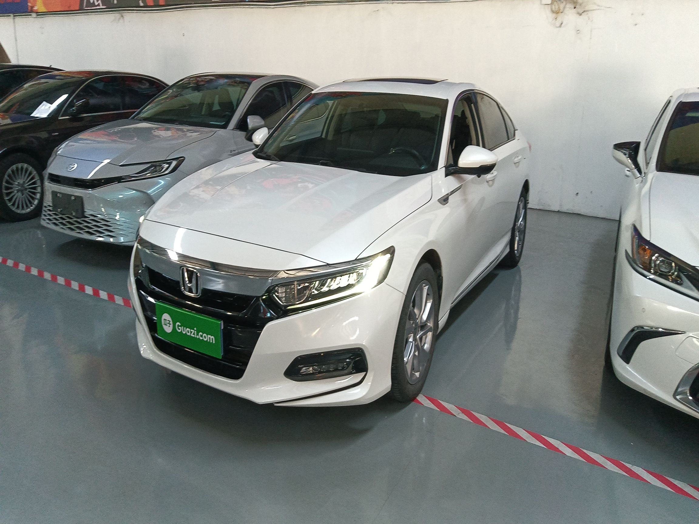 Parte inferior delantera