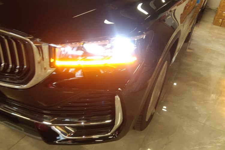 Used Geely Auto Monjaro L 2024 2.0TD DCT EVO Two-Wheel Drive Long-Range Version