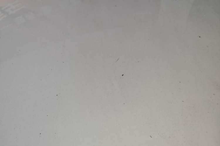 Used Wuling Hongguang MINIEV 2025 Four-Door Version Zhenxiang+ Edition Roof