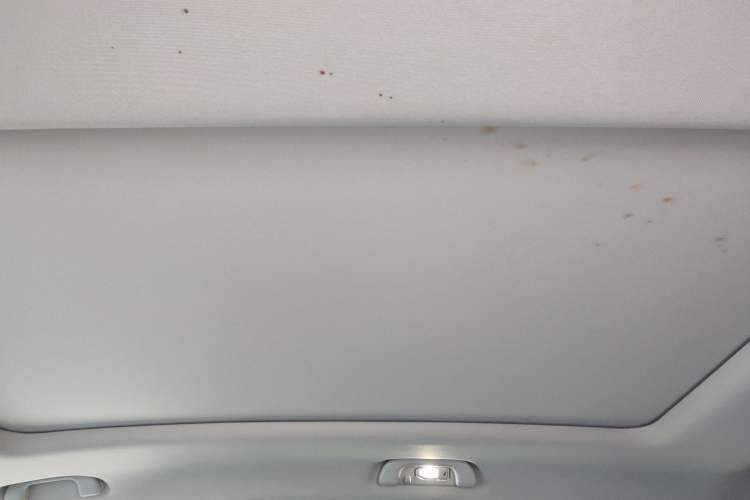 Used FORTHING Yacht 2022 1.5T DCT Chasing-the-Waves Edition Headliner