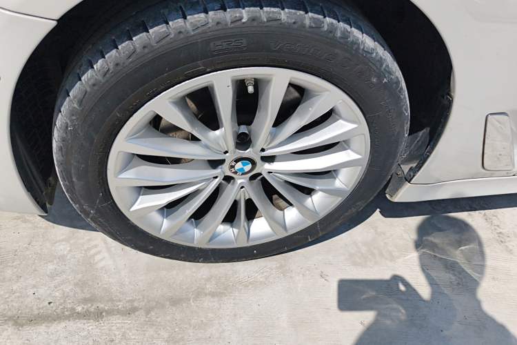 Used BMW 5 Series 2021 Updated Version 525Li Luxury Package
