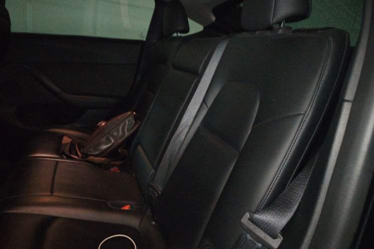 Used Tesla Model Y 2022 Rear-Wheel-Drive Version Left Rear Seat