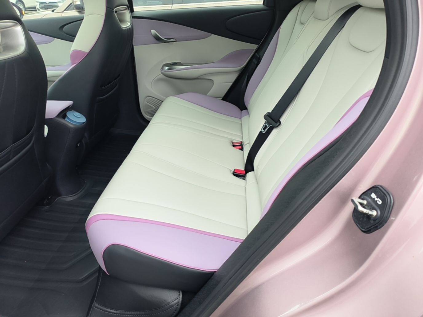 BYD Dolphin 2021 401km Knight Edition — снимка 20
