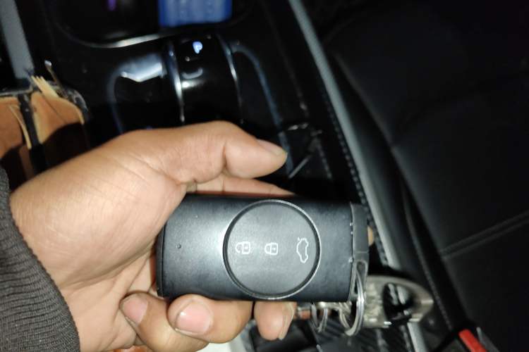 Used EXEED TX 2019 1.6T Four-Wheel Drive Platinum Edition
