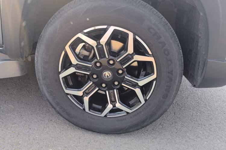 Used CHANGAN Lantop 2023 2.0T Automatic 4x4 Gasoline Flagship Standard Cab