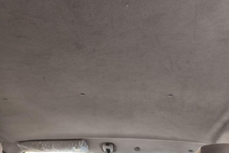 Used Foton MP-X E 2017 2.0L New Express Long Wheelbase 4Q20M Headliner