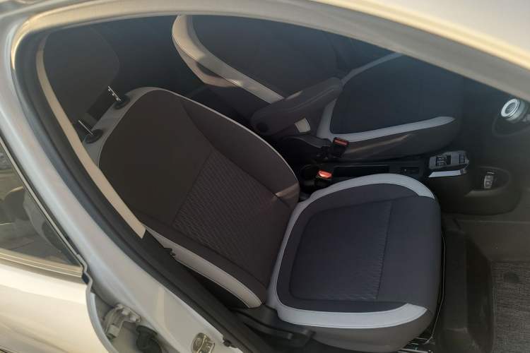 Used ORA Black Cat 2022 Updated Version 301 km Cute Pet Edition Lithium Iron Phosphate Right Front Seat