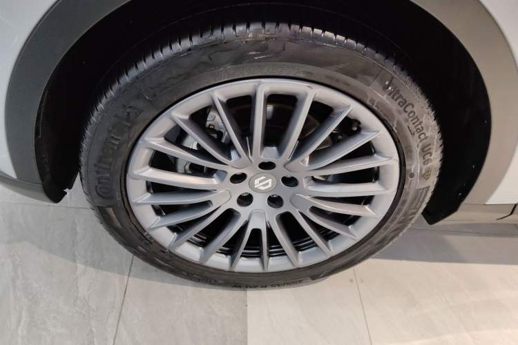 Used Leapmotor C11 2024 Range-Extended 300 Luxury Edition Exterior 4