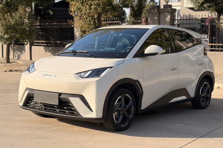 Used BYD Seagull 2023 Flying Edition