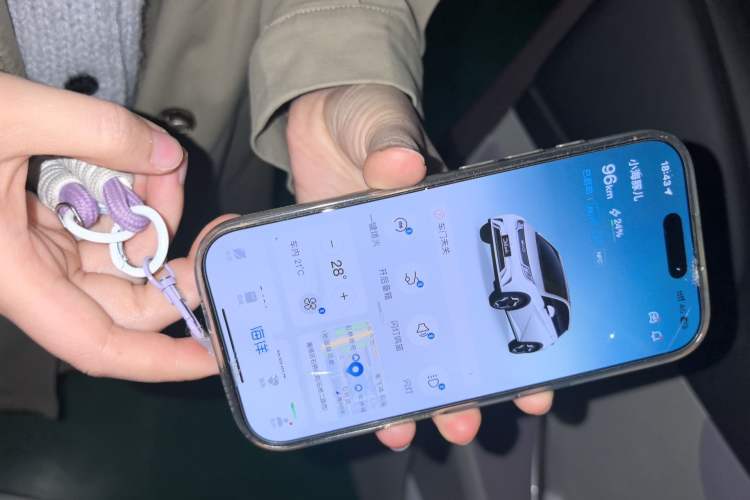 Used BYD Dolphin 2021 405 km Free Version