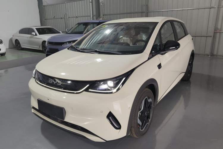 Used BYD Dolphin 2025 Smart Drive Version 420 km Freedom Edition