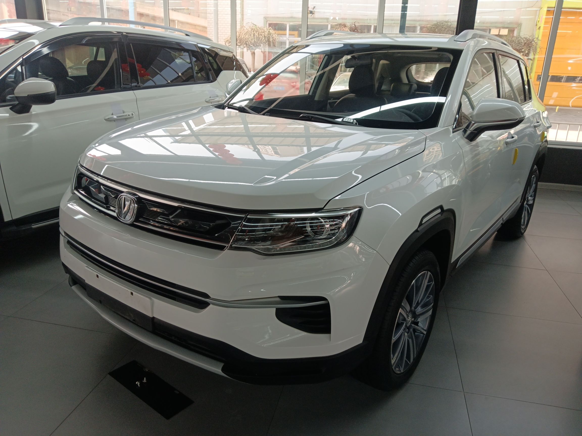 Parte inferior delantera