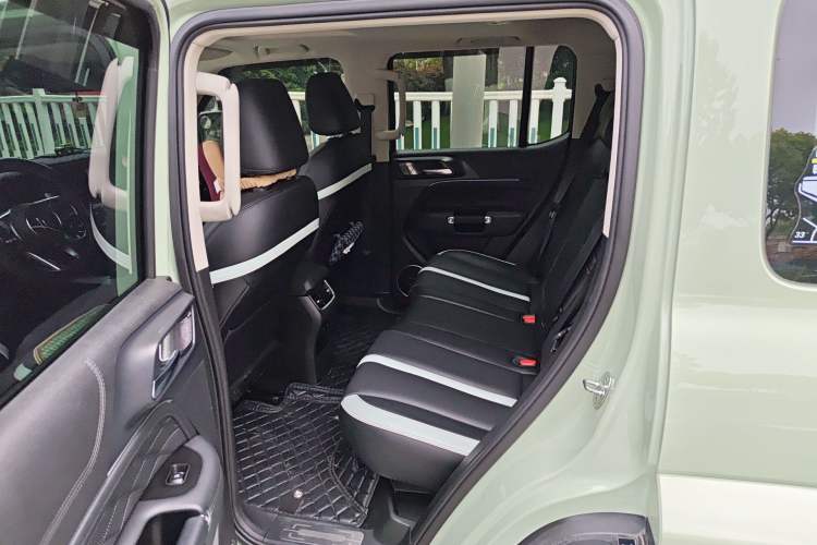 Used Tank 300 2021 City Edition 2.0T—Truly Stylish Left Rear Seat