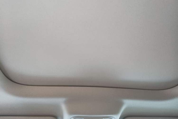 Used Haval Raptor New Energy 2023 Hi4 102 Exploration Edition Headliner